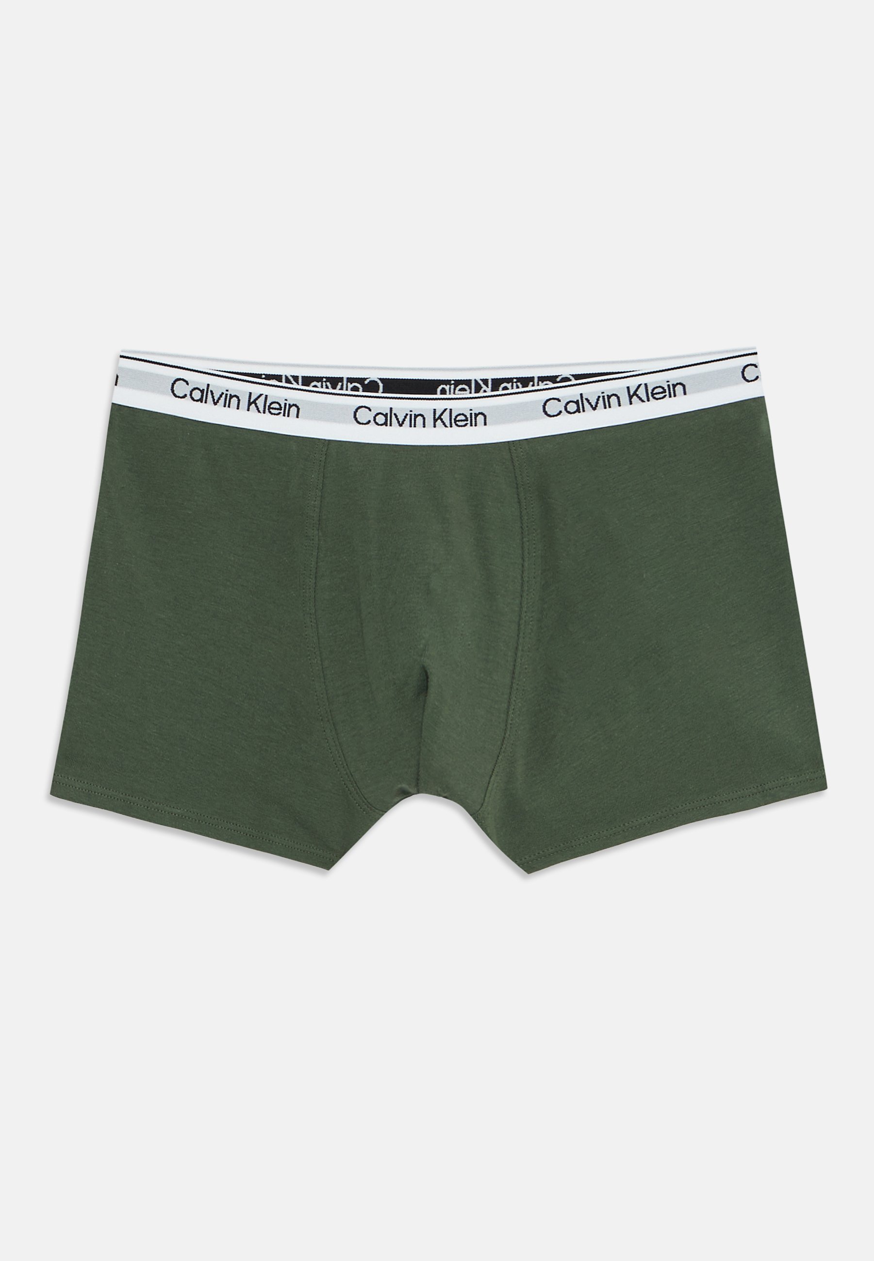 Lot de 3 sous-vêtements Calvin Klein - Culottes - Thym/Cèdre/Gris clair