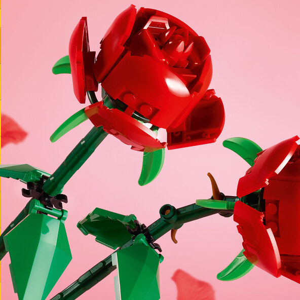 Criador Rosen 40460