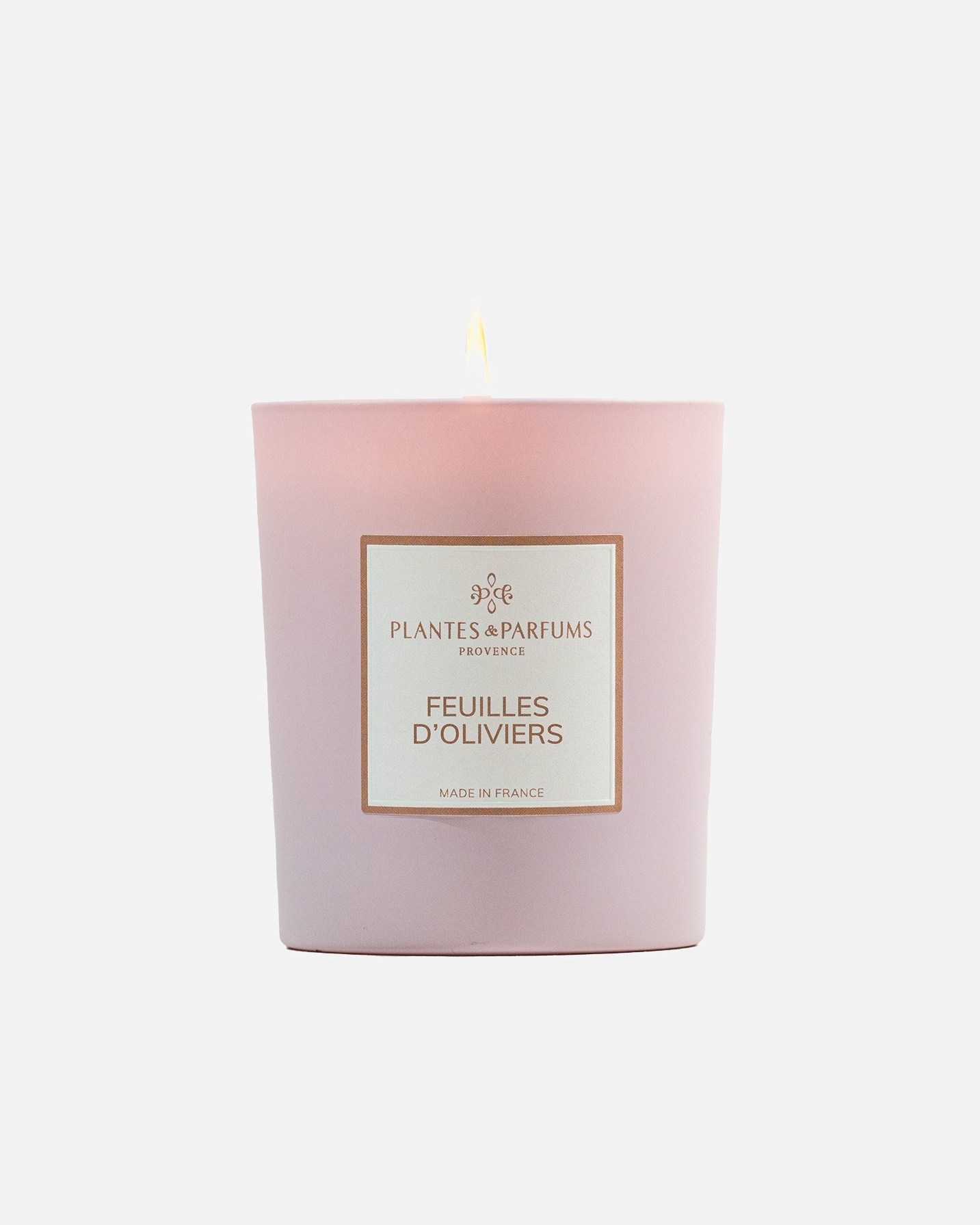 Plantes & Parfums Feuilles d'Oliviers
