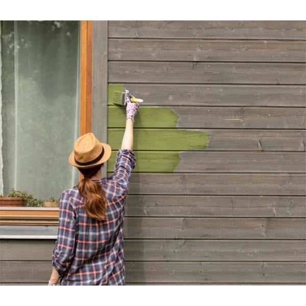 PEINTURE Teinte Vert Anis naturelle écologique intérieur extérieur aspect mat Natura - 2.5L   33m