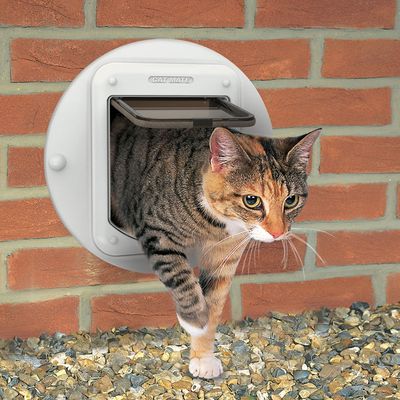 Chatière à micropuce Cat Mate (360W)