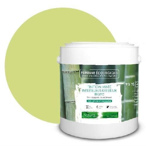 PEINTURE Teinte Vert Anis naturelle écologique intérieur extérieur aspect mat Natura - 2.5L   33m