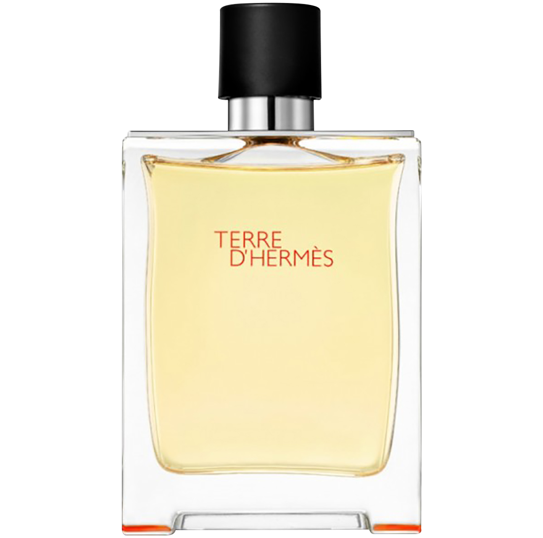 Hermes tualetes ūdens vīriešiem 100ml Terre D'Hermes