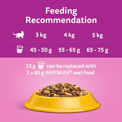 Whiskas 1+ Pui