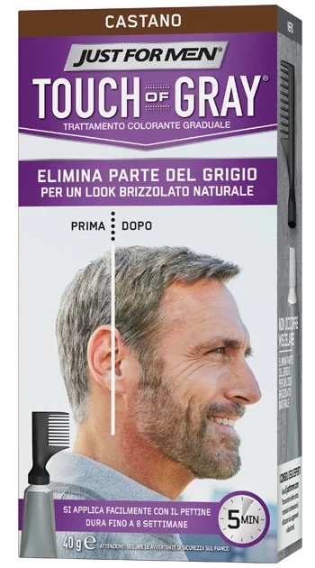 JUST FOR MEN Touch of Gray Geleidelijke Haarkleuring voor Mannen in Bruin 40 ml