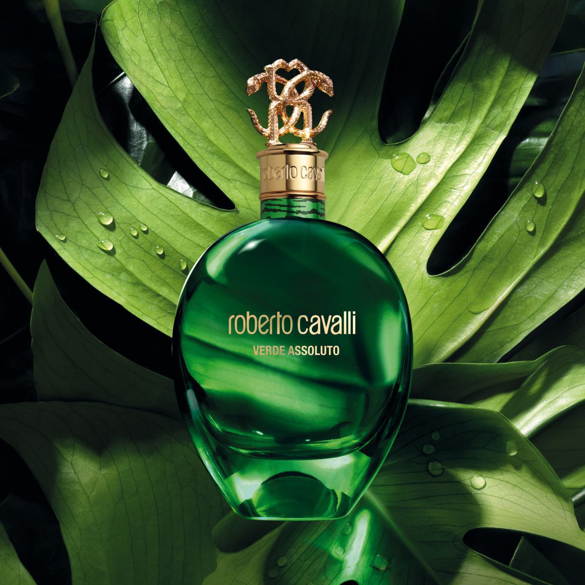 Roberto Cavalli SIGNATURE VERDE ASSOLUTO