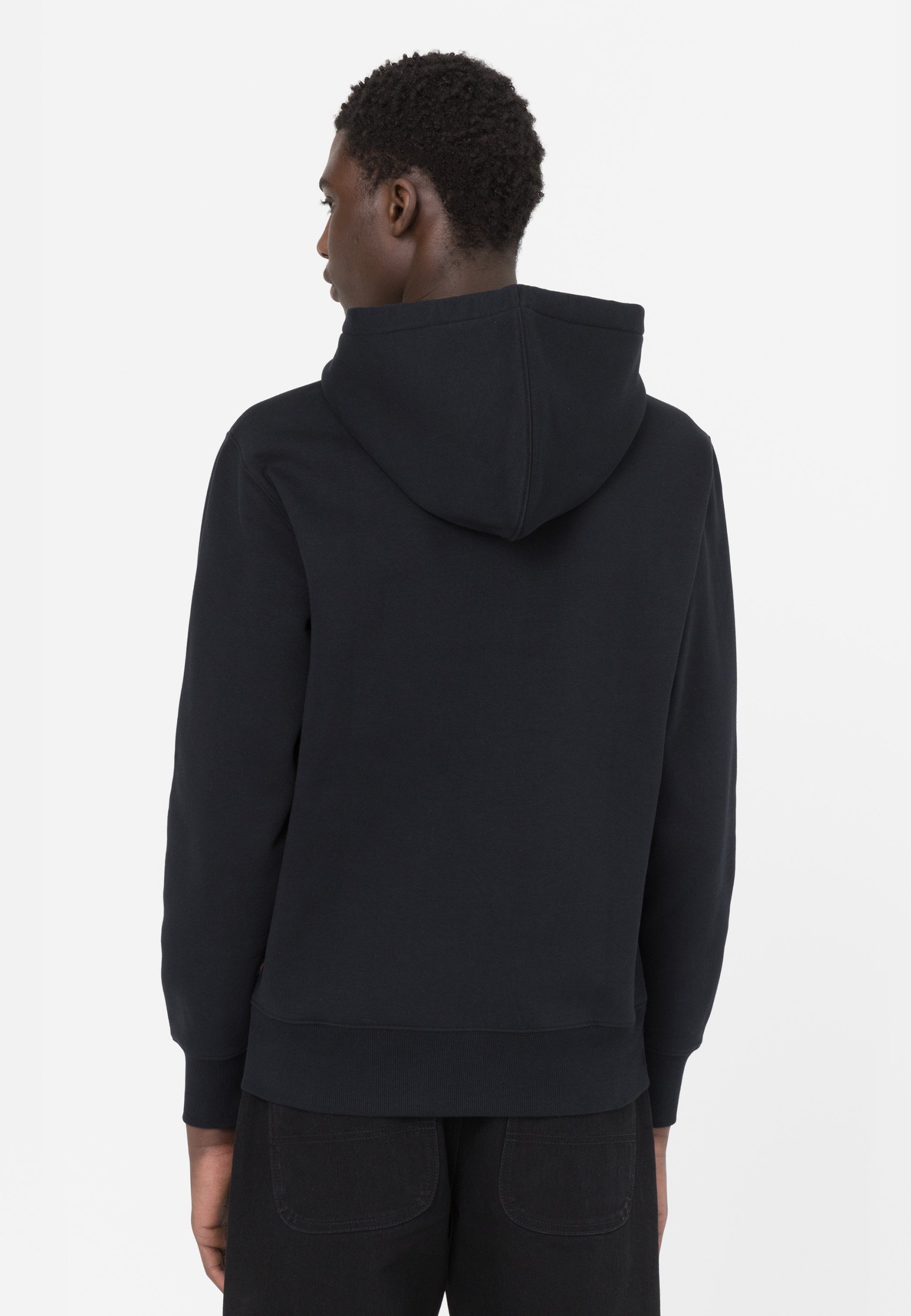 Dickies SUMMERDALE - Hoodie - zwart