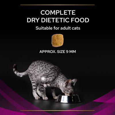 Purina Pro Plan Veterinary Diets Feline UR Urinary -kana