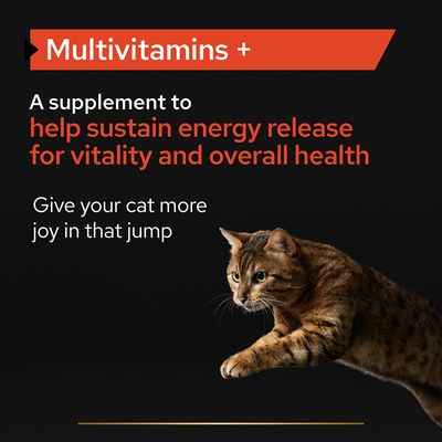 Suplemento multivitamínico en polvo para gatos Purina Pro Plan