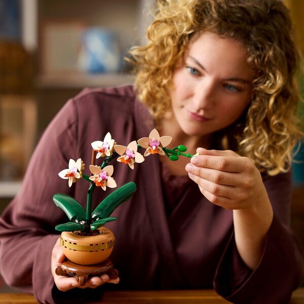 LEGO Botanicals 10343 Mini orhideja