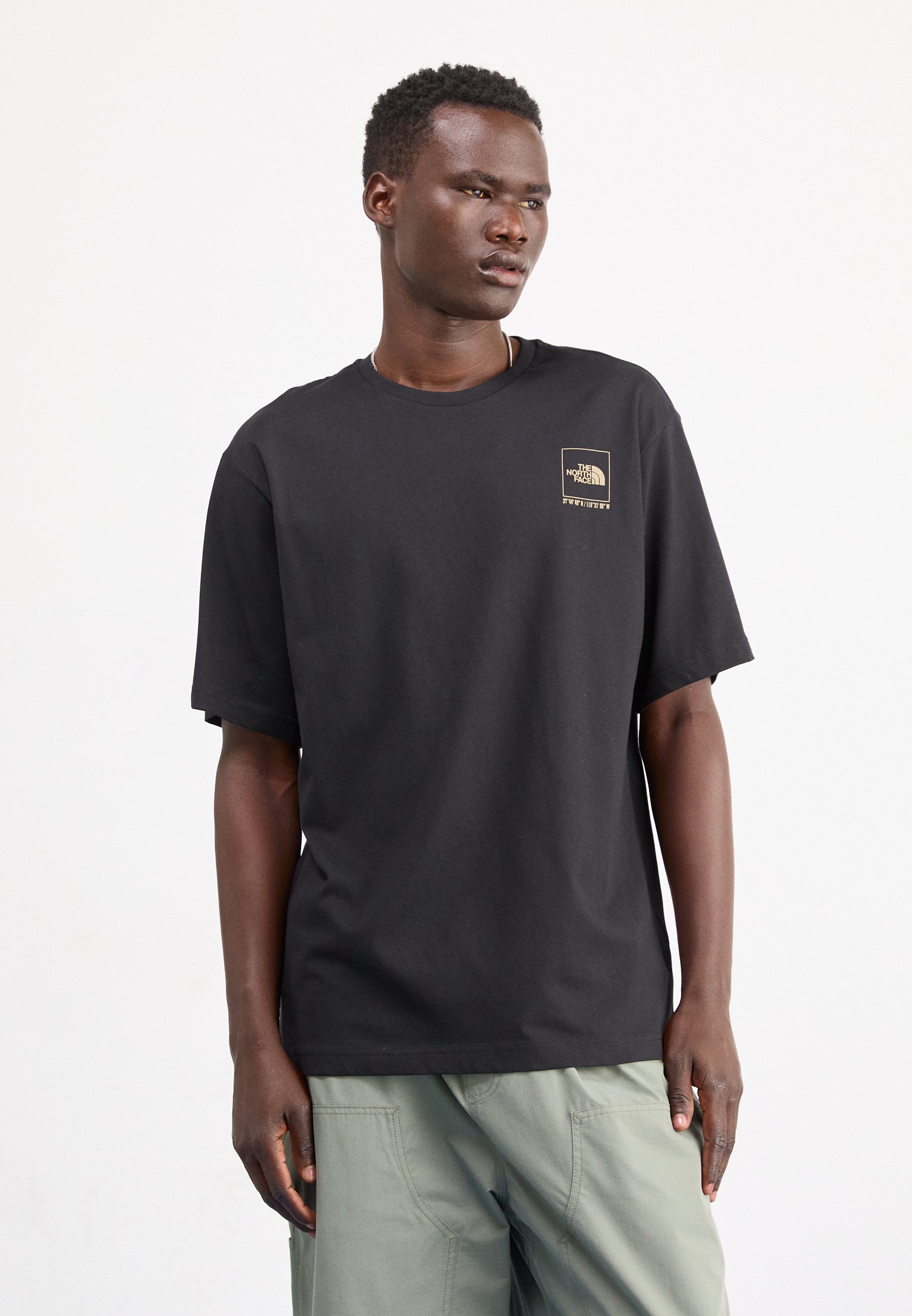 The North Face COORDINATES TEE - T-shirt met print - zwart