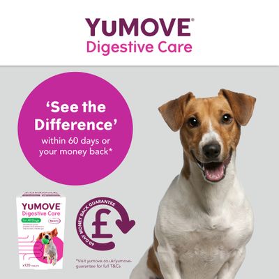 YuMOVE Soins digestifs pour tous les chiens