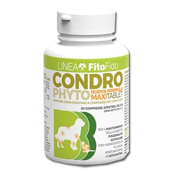 TREBIFARMA Condrophyto 60 comprimidos 2 g