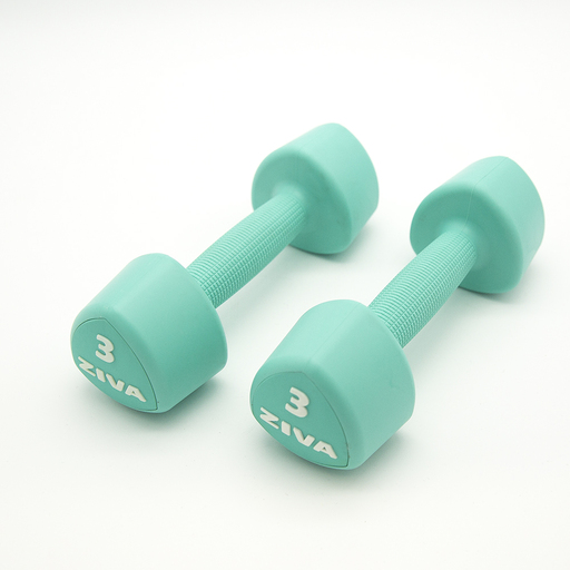  2 Ziva Chic Studio turkis 6 kg håndvægte