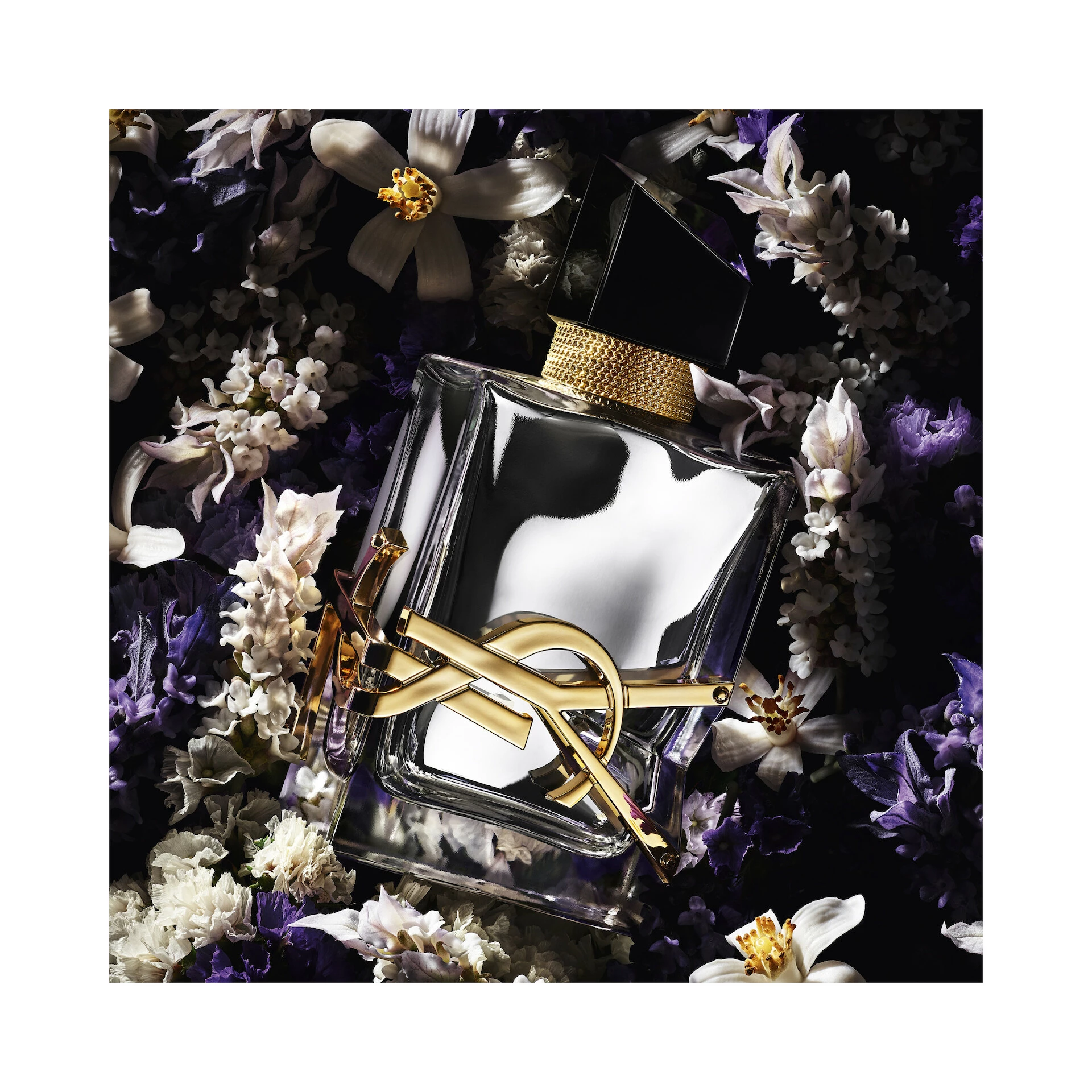 Libre L'Absolu Platine EdP 50 ml - Yves Saint Laurent