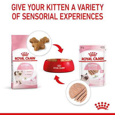Royal Canin Kitten i Loaf