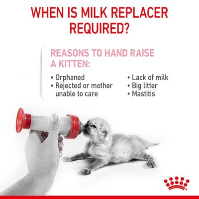 Royal Canin Babycat Mælk