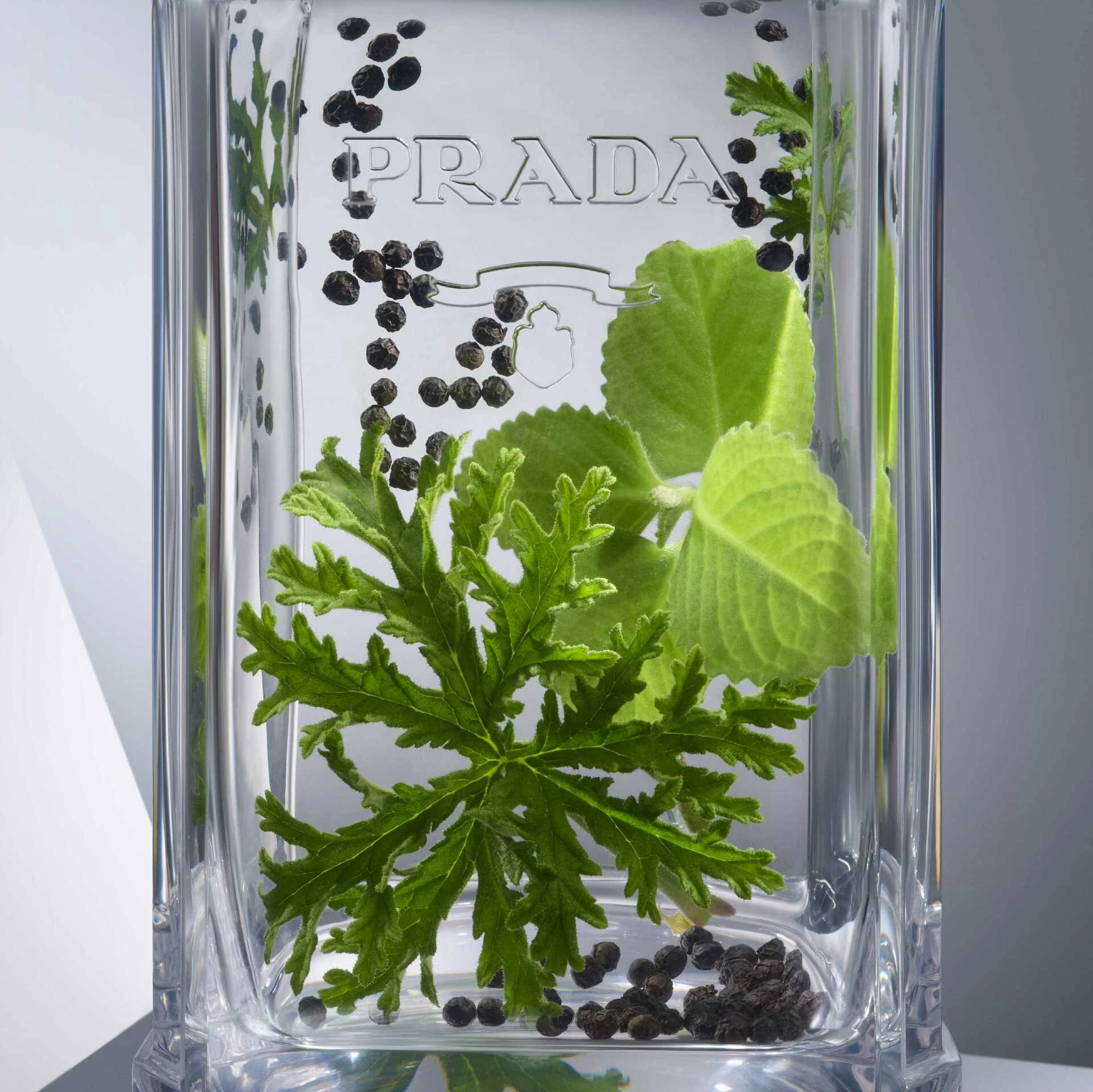 L'Homme toaletna voda 100 ml - Prada