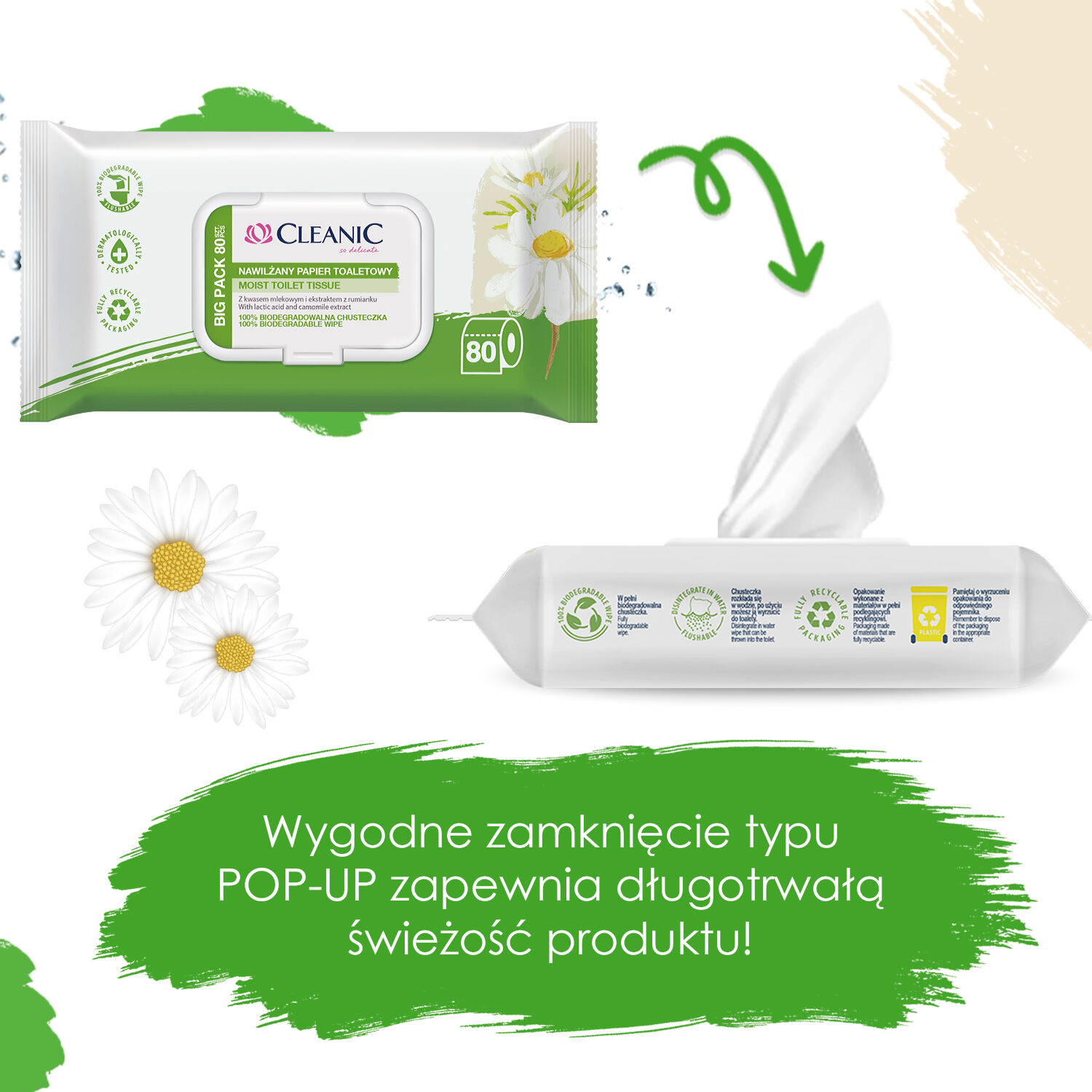 Čistilna kamilica