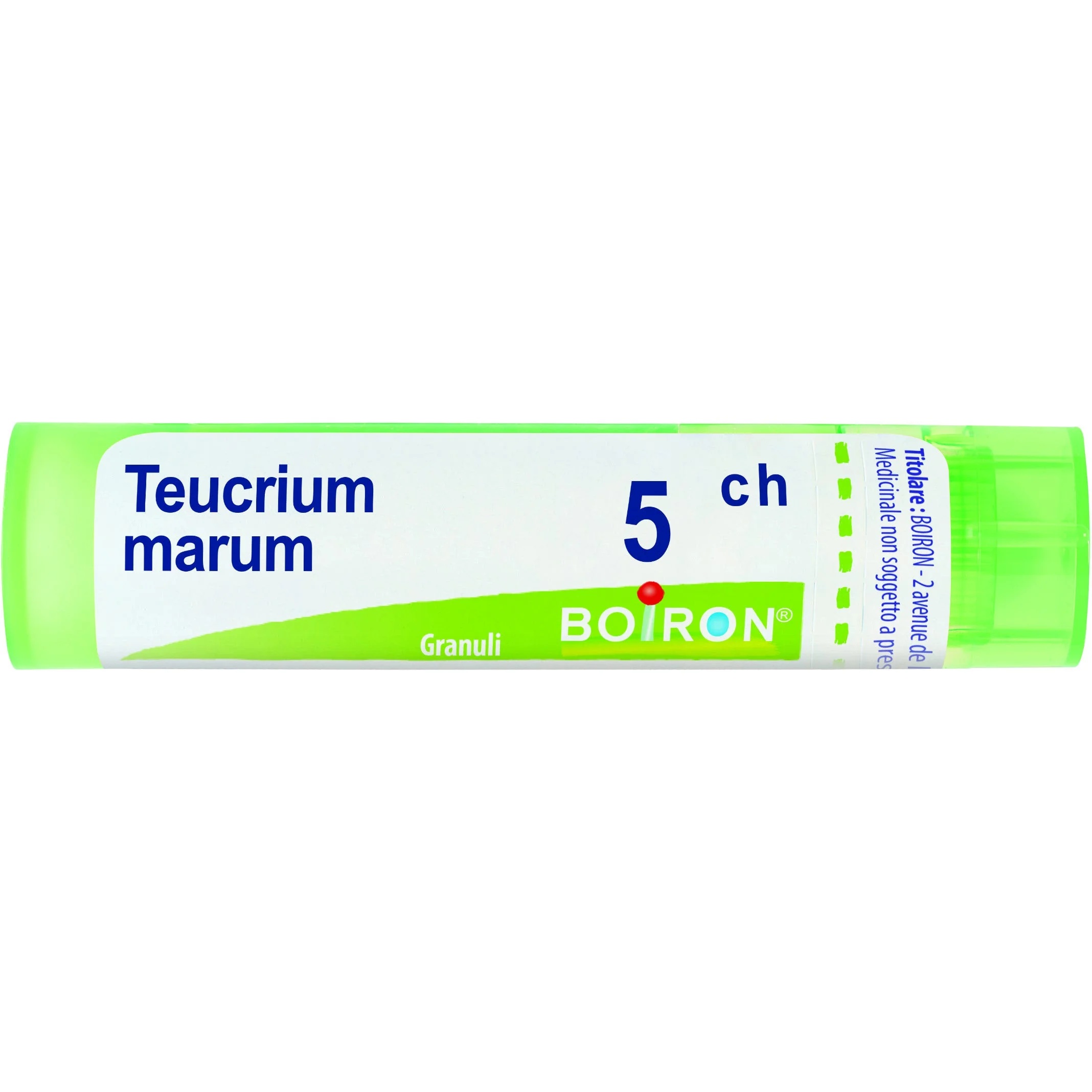BOIRON Teucrium Marum 5 Ch 80 Gr 4 G
