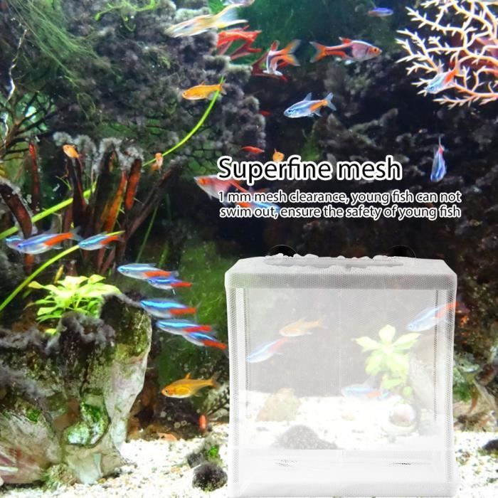 Couveuse pour poissons - CUQUE - Boîte d'isolement - Installation facile - Panneau isolant - Plastique