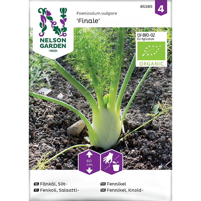 Semi di finocchio Finale di Nelson Garden Seeds, biologici