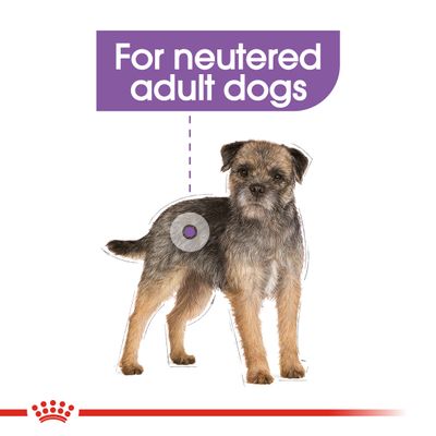 Gesteriliseerd brood van Royal Canin