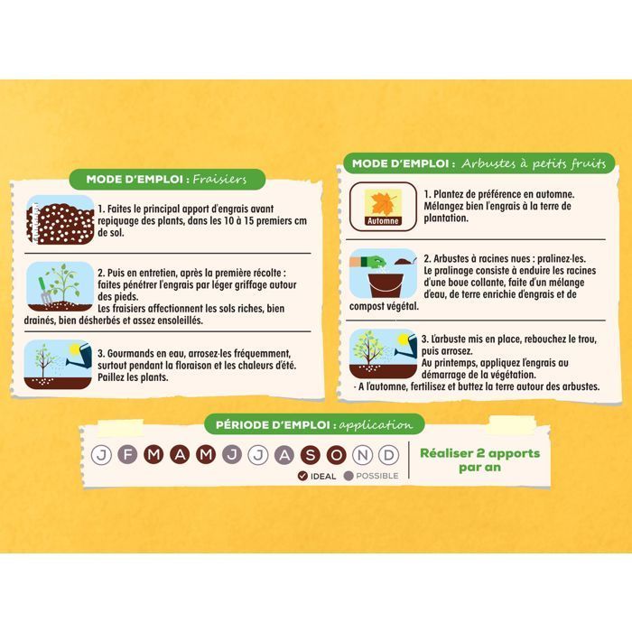 SOLABIOL Engrais fraisiers & petits fruits - 750g - Jusqu'à 15m² - Stimulateur de croissance - Nutrition longue durée