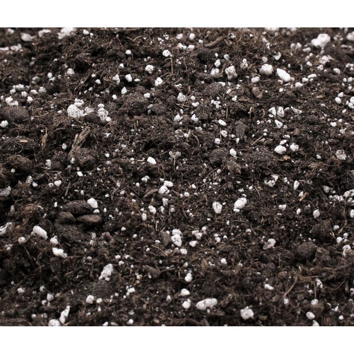 Plagron - Light Mix - 25L - Terra kweek- en bloeigrond