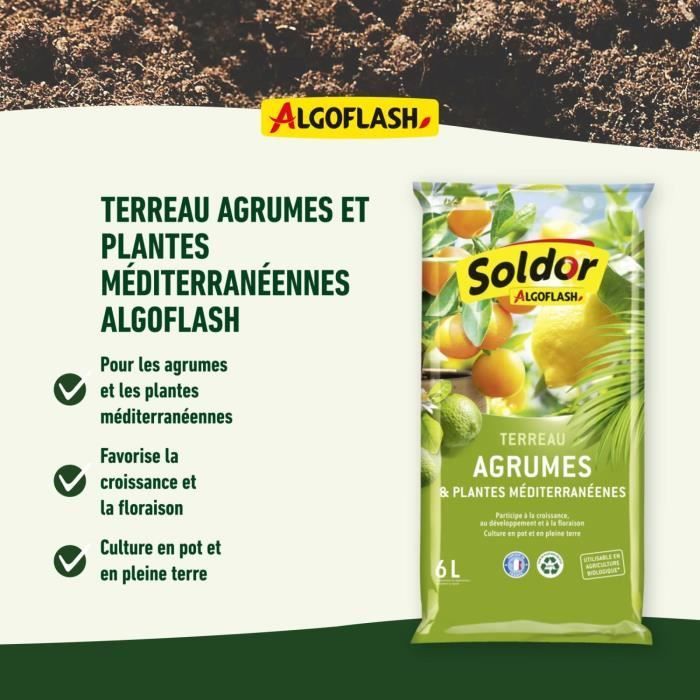 ALGOFLASH - Terriccio per agrumi e piante mediterranee 6 L