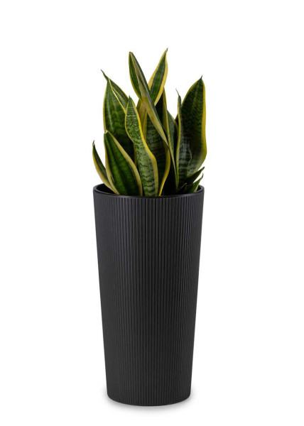 Donica Urbanika ECO czarna 36 cm kwietnik doniczka 4 L
