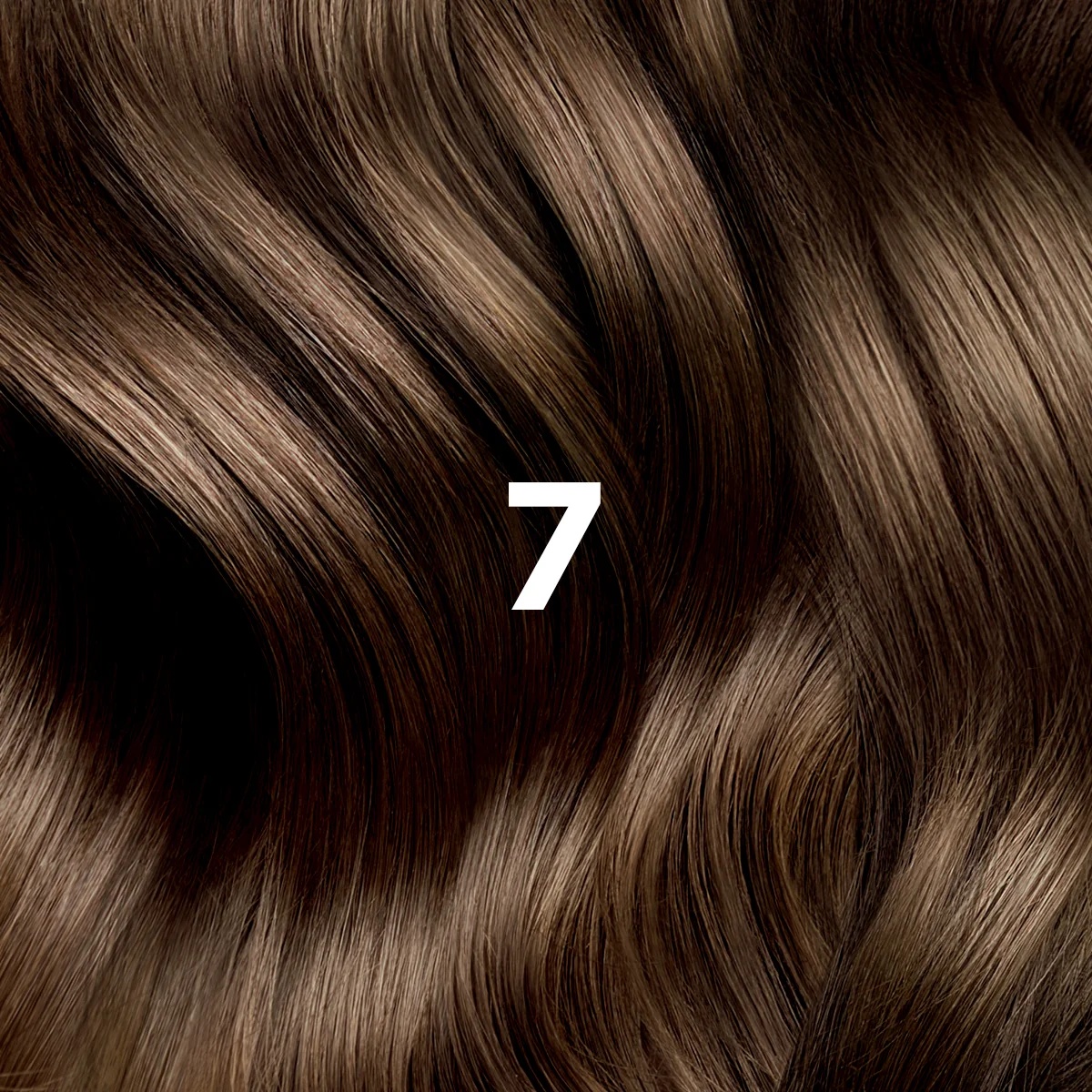PHYTO Phytocolor 7 Blond Trajna barva brez amonijaka 100% prekrivanje belih las