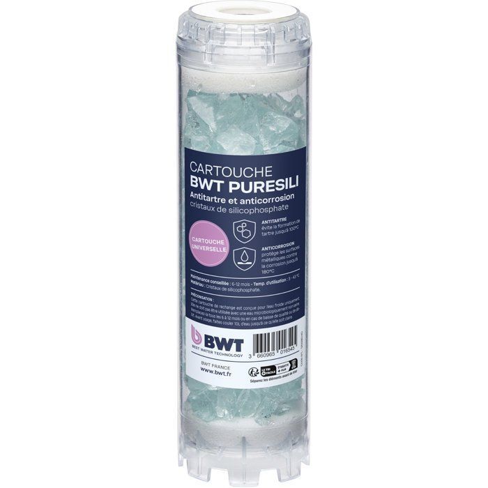 Confezione annuale di cartucce - BWT - ARCTIC 20 µm + PURESILI - Anti-impurità + antibatterico