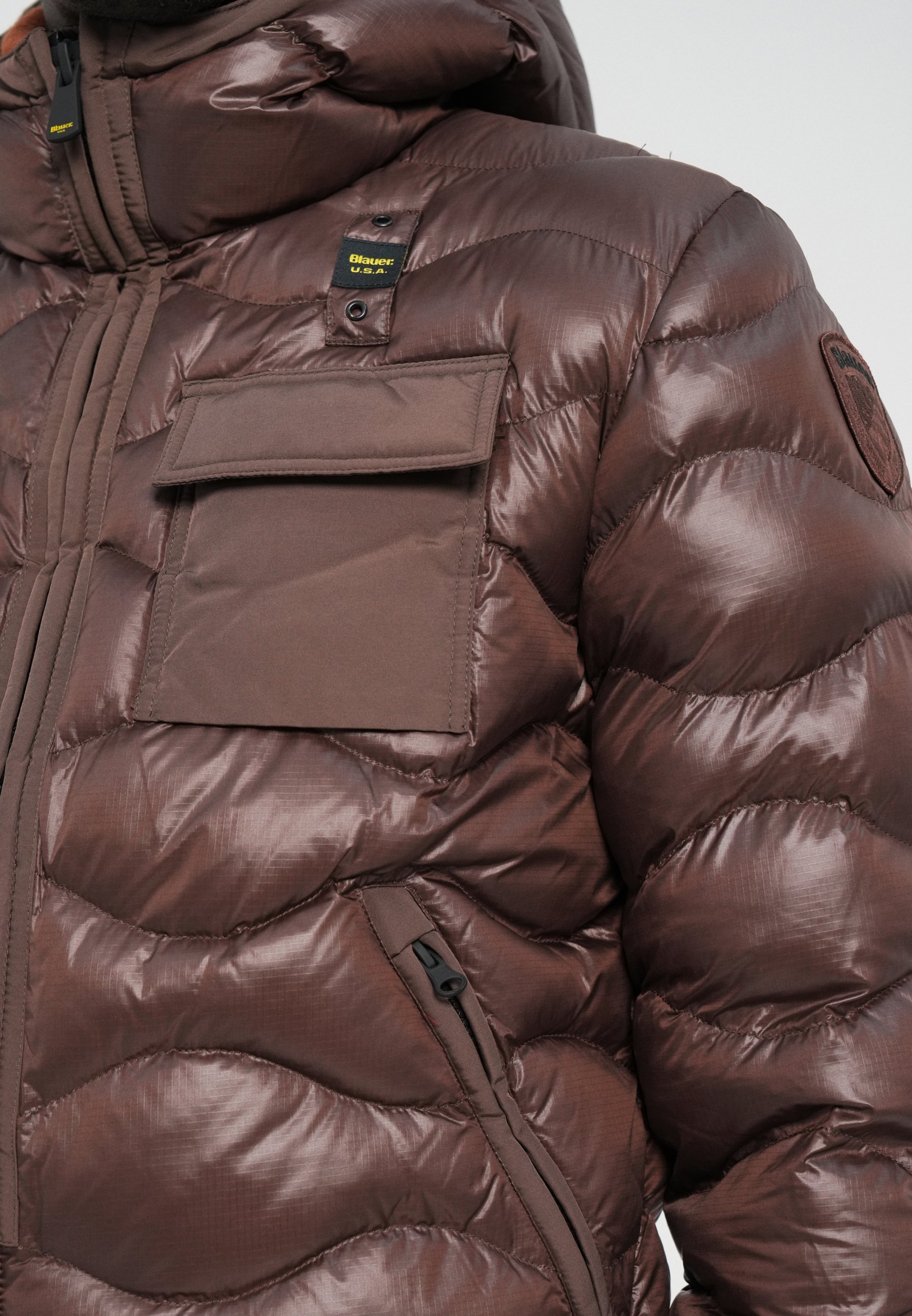 Blauer BRYANT - Winter jacket - dark brown