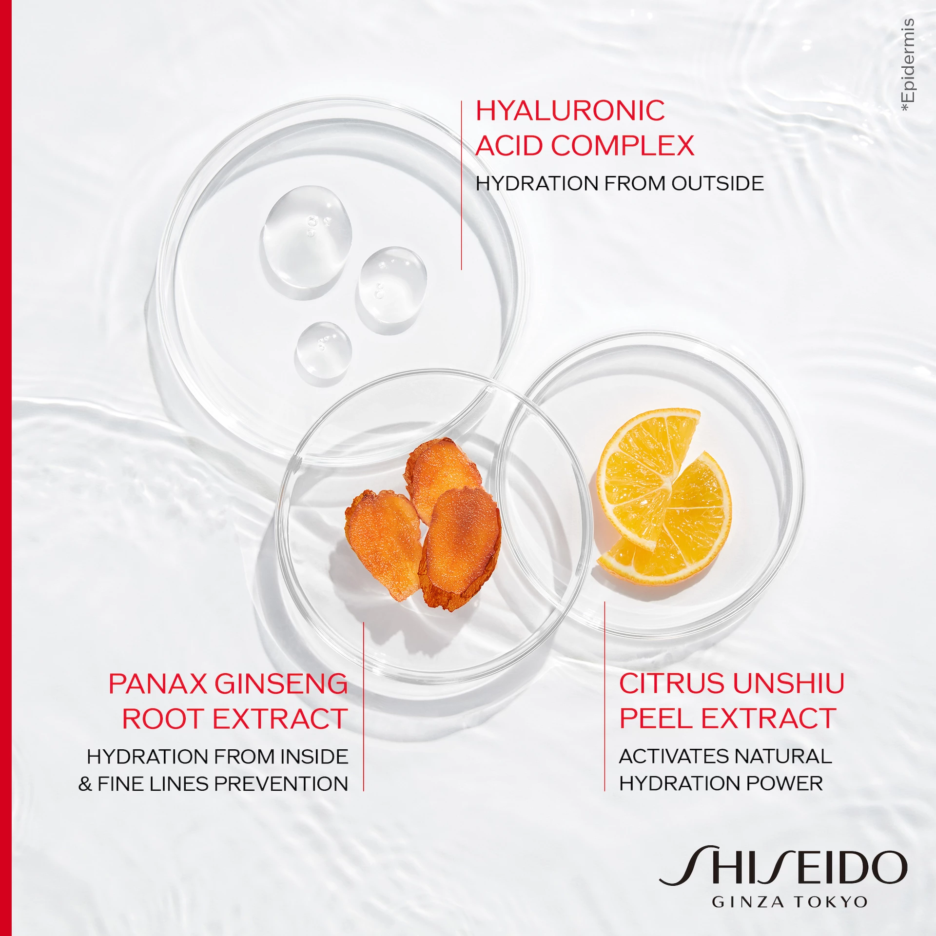 Cremă de zi hidratantă Essential Energy SPF20 50 ml - Shiseido
