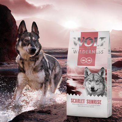 Wolf of Wilderness Volwassen 