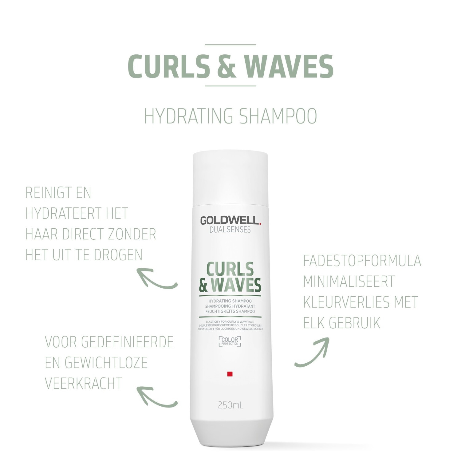 Shampoing hydratant Goldwell Dualsenses pour cheveux bouclés et ondulés - 250 ml