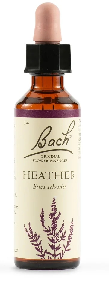 SCHWABE Schwabe Bachbloesem Heide Orig Druppels 20 ml