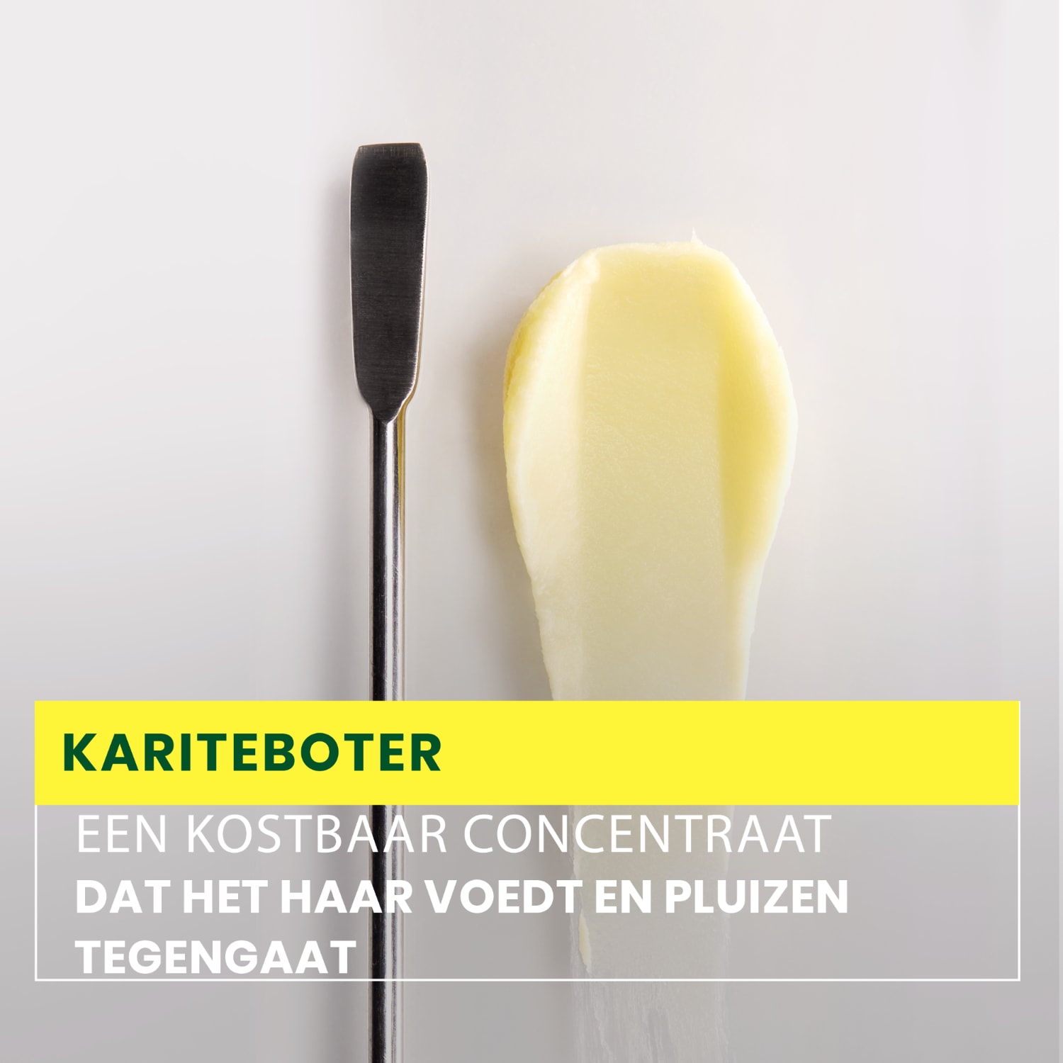 René Furterer Haarstyling Sublime Karité Professional Glättungsmilch – 100 ml