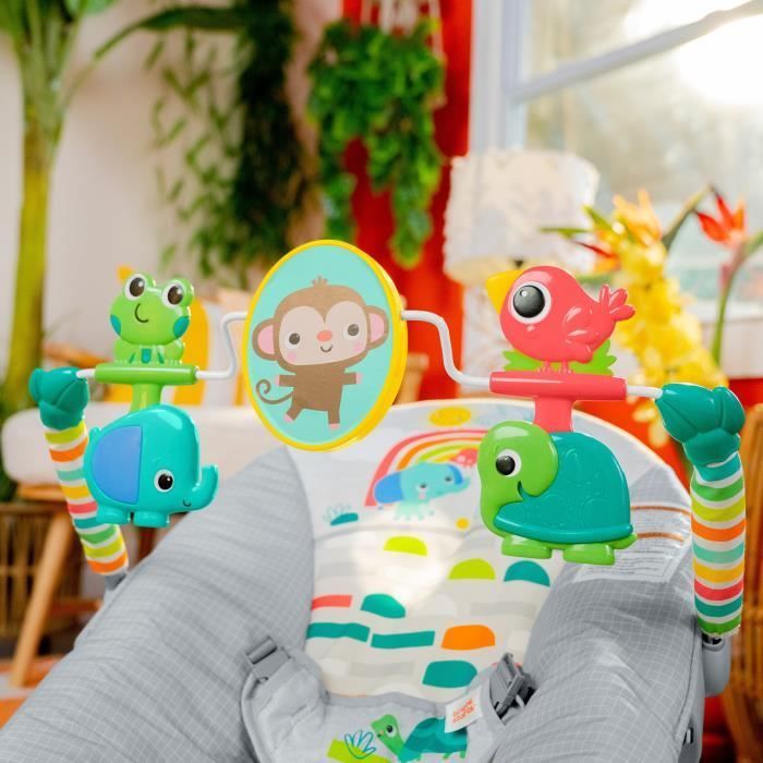BRIGHT STARTS Baby Bouncer Animals, Soothing Vibrations, Activity Arch with Interactive Toys, Baby Gift