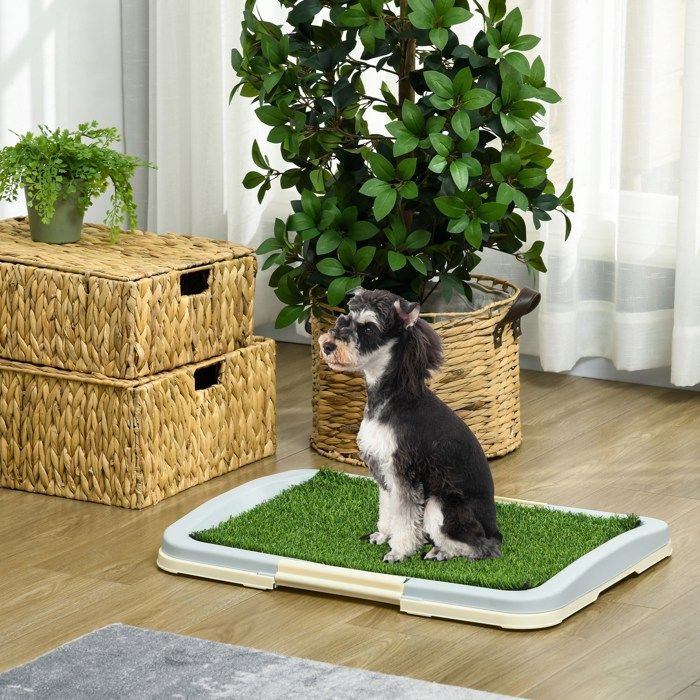 Toilette pour chien - PawHut - litière avec tapis en gazon artificiel plateau et panneau grillagé - 63 x 48,5 cm