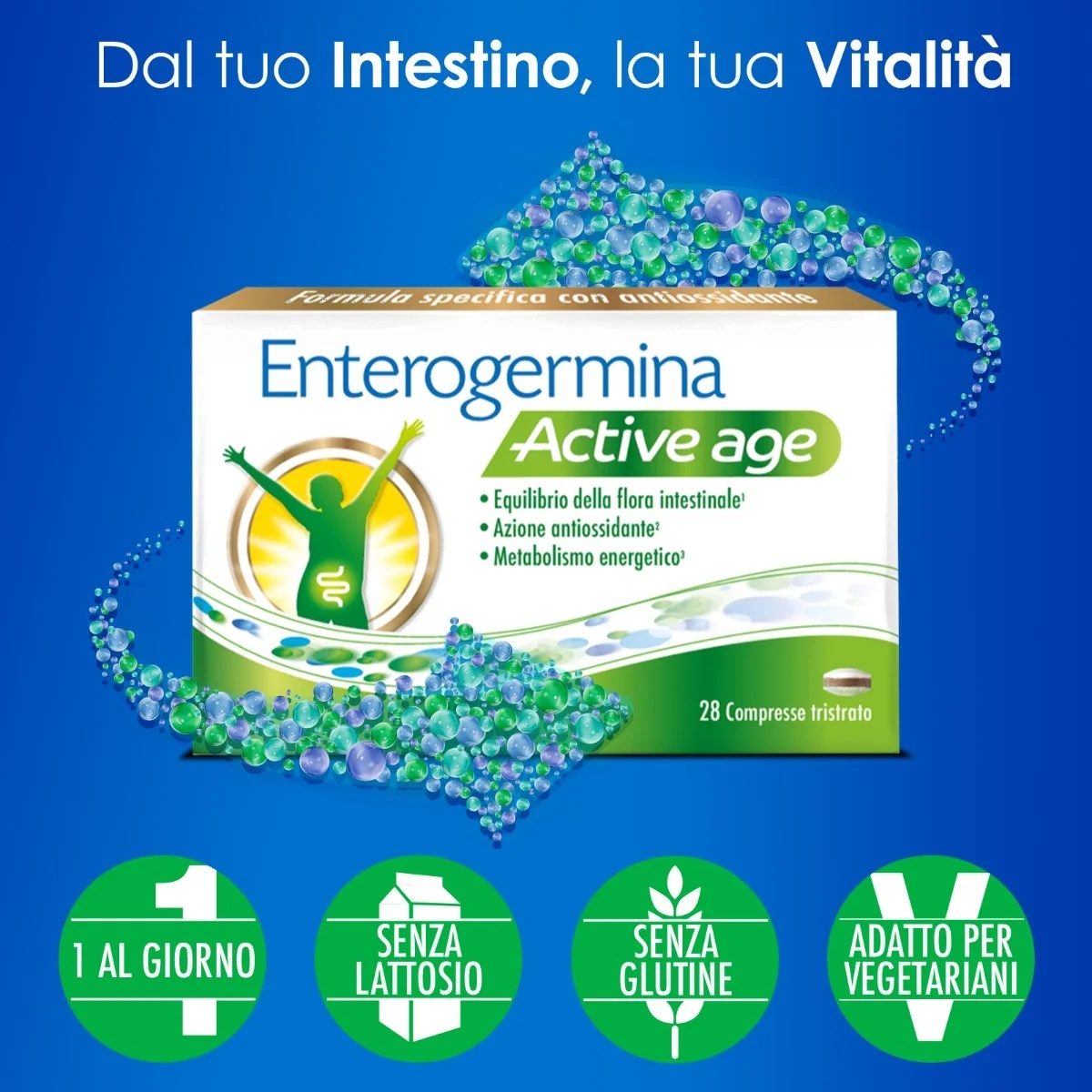 ENTEROGERMINA Enterogermina Âge Actif 28 comprimés Pour l'équilibre de la flore intestinale