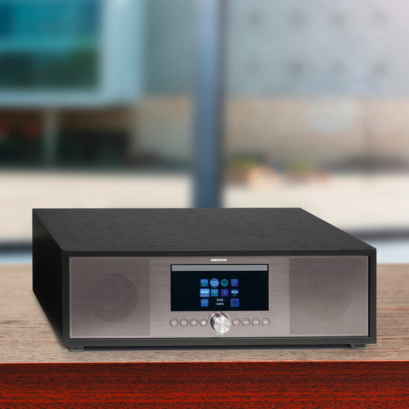 Alles-in-één-audiosysteem P66024 (MD44100)