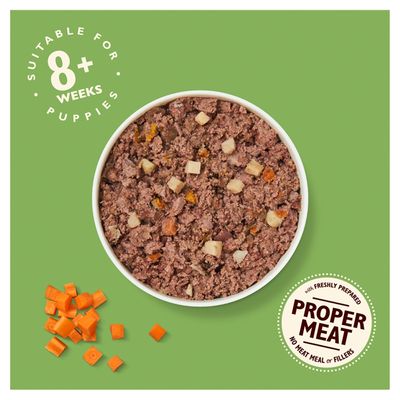 Lily konyhájában készült kölyökkutya recept csirkével, burgonyával és sárgarépával