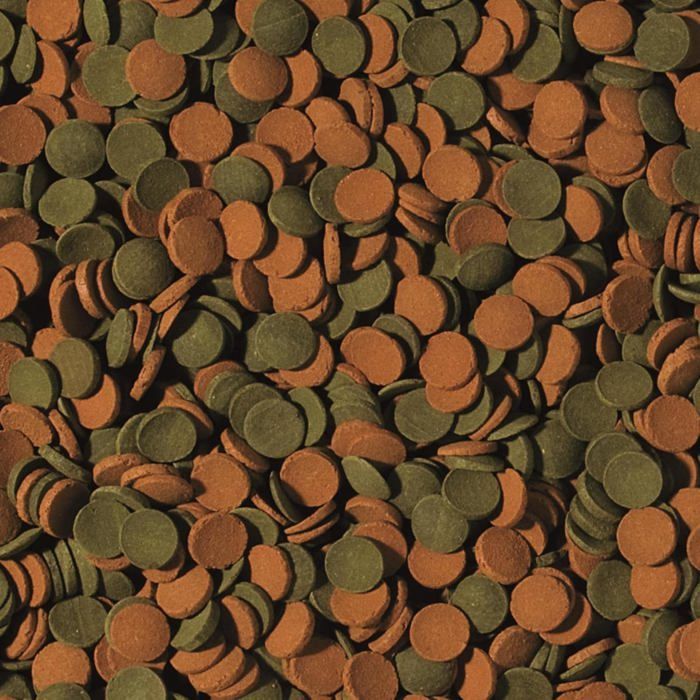 Fischfutter - TROPICAL - Mini-Wafers-Mix 3 l (1,65 kg) - Sinkende Pellets - Spirulina - Beta-Glucan & Astaxanthin