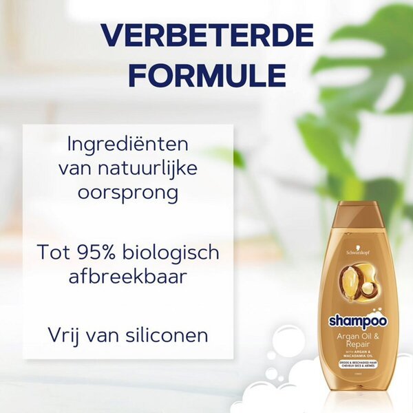 Schwarzkopf arganovo olje in regeneracijski šampon<br>400ml