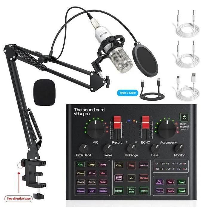 Scheda audio esterna USB Type-C HD con microfono regolabile, riduzione del rumore, kit per lo streaming di podcast, karaoke, argento
