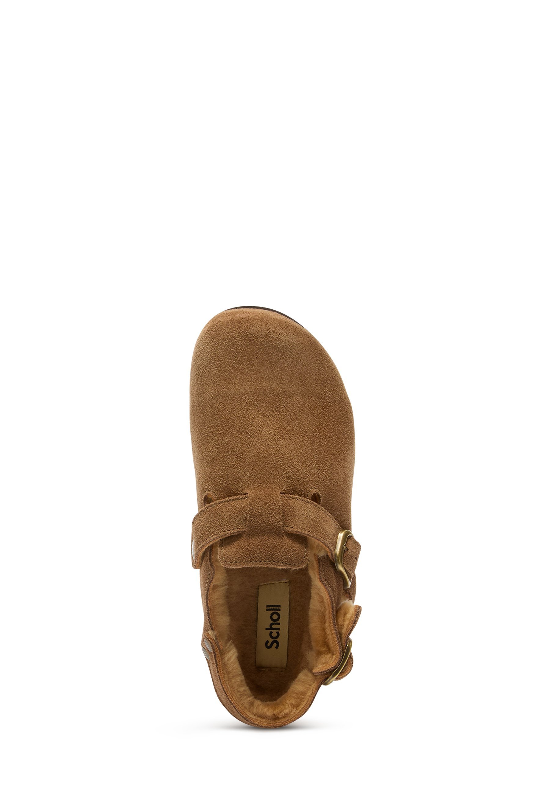Scholl sussid - hallikaspruunid