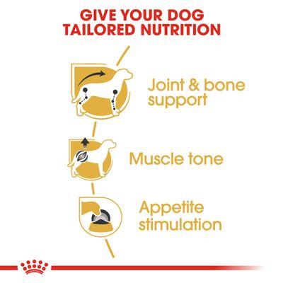 Royal Canin Dackel-Leckerli
