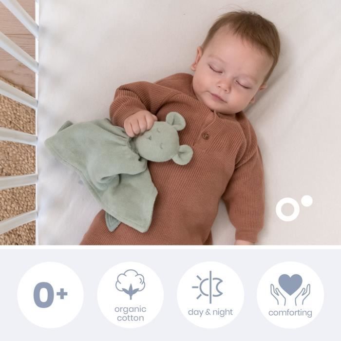 doomoo You&Me Baby Comforter - Reversible and Soothing Comforter - Comes with 2 Bodies to Carry the Parent's Scent, Green